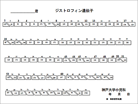 デュシェンヌ型筋ジストロフィー