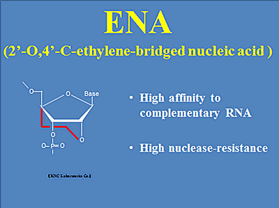 ENA